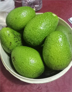 La superficie de aguacate en la C. Valenciana se multiplica por 10 en 7 años