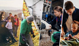 Conozca a las 30 asociaciones que asesorarán a la CE sobre el futuro de la agricultura de la UE