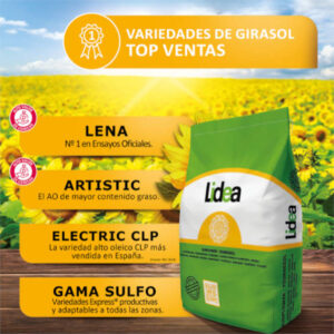 Lidea presenta su gama de girasol de alto rendimiento para la campaña 2025
