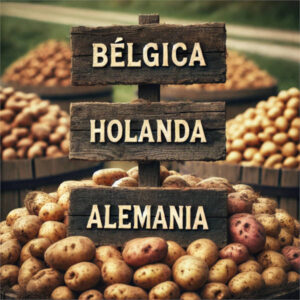 ¿Cómo está el precio de la patata en Holanda, Bélgica y Alemania?