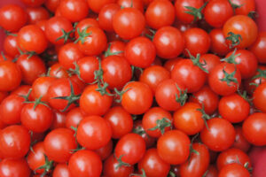 El sector tomatero pide la exclusión del Sahara Occidental de las preferencias arancelarias