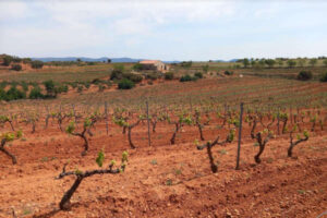 Piden aprovechar los años lluviosos para almacenar agua en el Alto Guadiana