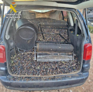 12 detenidos por robar 4.000 kg de aceitunas