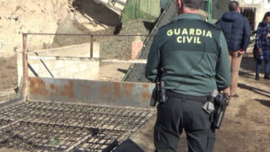 5 investigados por el robo de 2 toneladas de aceitunas