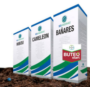 Buteo Start: un nuevo aliado para recuperar las altas polarizaciones