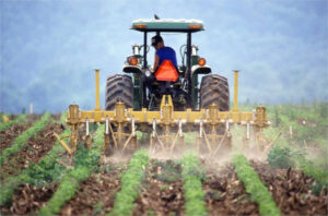Se aprueba la contratación temporal para campañas agrícolas y la doble tarifa eléctrica para el regadío