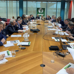 FEPEX aprueba su Hoja de Ruta para 2025 con el foco en competitividad y regulación