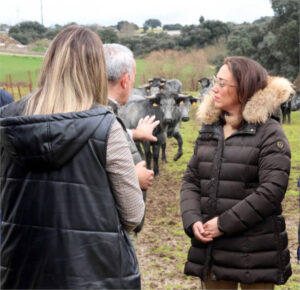 Anuncian 1,1 M€ en ayudas para la EHE en Castilla y León