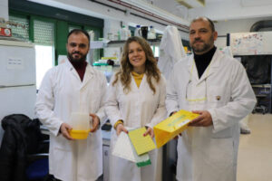 Más trampas y más pequeñas para controlar mejor la mosca del olivo
