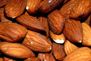 La producción de almendra en España crecerá un 5 % y alcanza su récord histórico