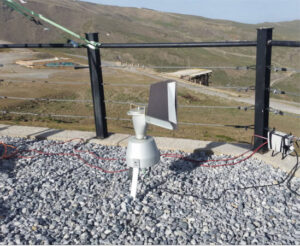 Altas concentraciones de polen de olivo en Sierra Nevada pese a la ausencia de olivares