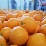 naranjas