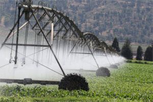 ASAJA Ciudad Real reclama infraestructuras hídricas para aprovechar el agua