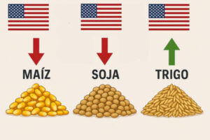 El USDA recorta más de lo previsto las existencias de maíz y soja haciendo subir los precios