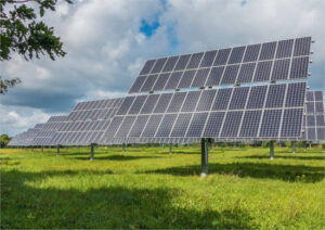 Denuncian presión a agricultores para ceder tierras a fotovoltaicas