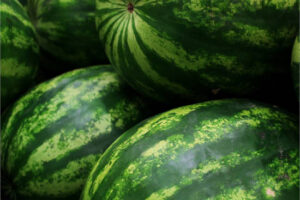 Castilla-La Mancha: más superficie de sandía y menos de melón