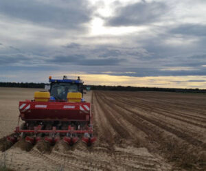 La siembra de patata avanza en Europa con éxito desigual: buen ritmo en el norte y retrasos en el sur