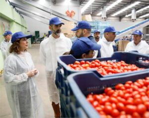 Andalucía promueve una ley de producción ecológica