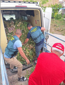 Recuperados 2.000 kg de ajos robados en Huétor Tájar gracias a la colaboración entre agricultores y fuerzas de seguridad