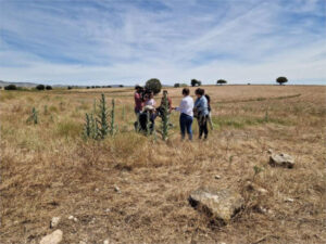 Aragón evalúa una plaga de langosta sin daños en cultivos y descarta tratamientos inmediatos
