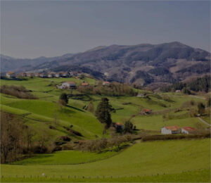 Los agricultores y ganaderos de Guipúzcoa tendrán una reducción del 70% en el IRPF