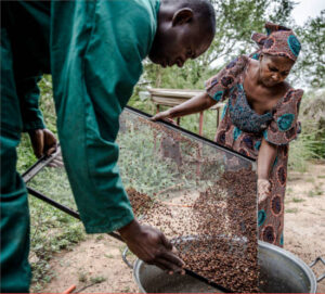 Las mujeres representan el 36 % de la fuerza laboral en los sistemas agroalimentarios en América Latina y el Caribe