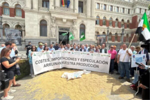 Los cerealistas delante del MAPA: costes disparados, precios hundidos y competencia desleal