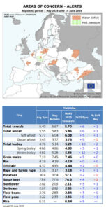Previsiones agrícolas dispares en la UE: altas expectativas en el sur y presiones climáticas en el centro y norte