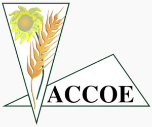 ACCOE defiende el papel de los comercializadores de cereal frente a las acusaciones de especulación