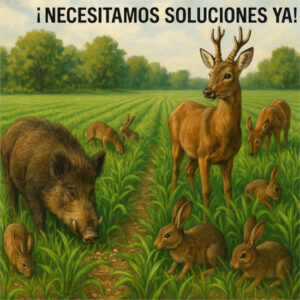 Alerta del impacto de los mega incendios en la fauna silvestre y su relación con el campo