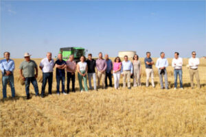 Castilla y León alcanzará 8,1 Mt de cereal de invierno, la segunda mejor cosecha en 15 años