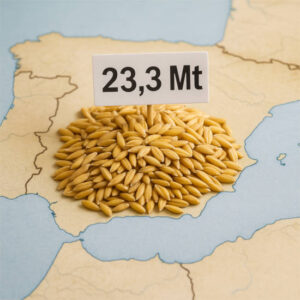 El MAPA estima una cosecha de 23,3 Mt de cereal para la campaña 2025/26