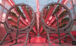 Dyson: de producir aspiradoras a cultivar fresas en grandes tubos giratorios