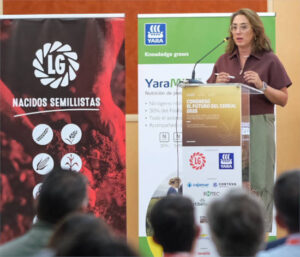 La cosecha de cereales de Castilla y León alcanza 8,4 Mt en 2025