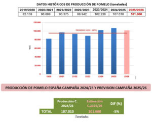 La producción de pomelo en España caerá un 5% en la campaña 2025/2026
