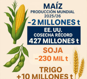 El USDA reduce su previsión de cosecha mundial de maíz haciendo subir los precios en Chicago