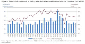 Francia prevé un récord en producción de patata  y un retroceso en remolacha en 2025