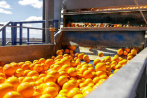 Mercosur amenaza la industria del zumo y el mercado fresco español