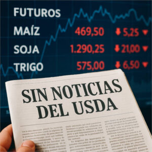 Sin noticias del USDA, el mercado de cereales cae en el desconcierto