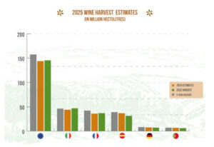 La producción de vino europeo crece un 1% en 2025, pero sigue lejos de su recuperación