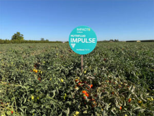 Agraz y Fertiberia se alían para avanzar en la descarbonización del cultivo del tomate