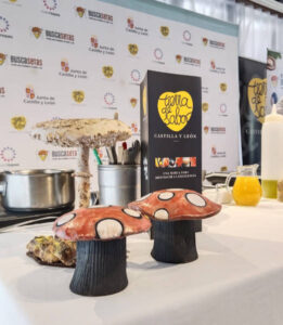 Buscasetas 2025 mostrará la riqueza micológica y culinaria de Castilla y León