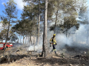 El CSIC analiza los efectos del humo de los incendios en la salud de los bomberos forestales