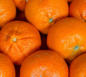 Nace Andalcitrus, la Interprofesional de la Naranja y la Mandarina de Andalucía