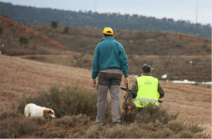 Aragón regula el enterramiento de perros de caza y de guarda bajo nuevos criterios sanitarios
