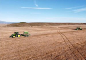 La cosecha de cereales de invierno podría reducirse en un 24% según las estimaciones de los comerciantes