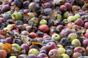 Los descartes de frutas y hortalizas en España tienen un alto impacto ambiental