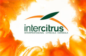 Intercitrus, la interprofesional citrícola de la «geografía variable» según ASAJA Andalucía