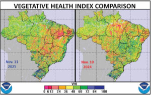 El cultivo de soja en Brasil anda atrasado: Vea las imágenes satélites