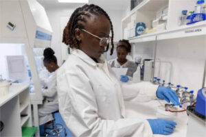 Mosquito transgénico que podría detener la transmisión de la malaria en Tanzania